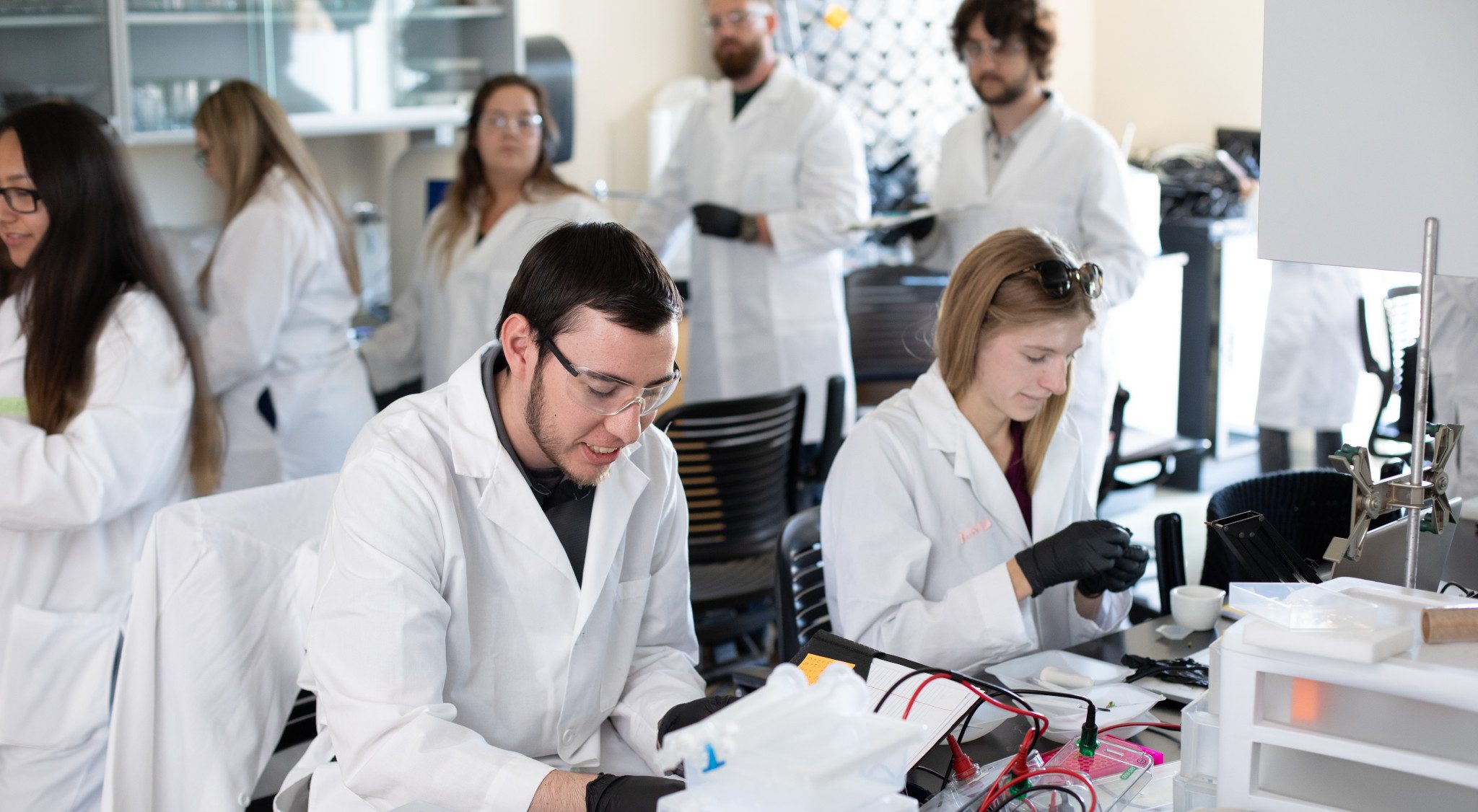 N A U&ndash;Yuma students in genetics lab.
