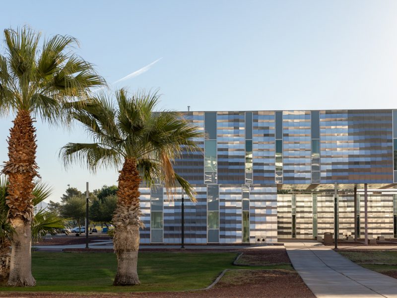 N A U&ndash;Yuma building with a line of small palm trees along the path to the front.