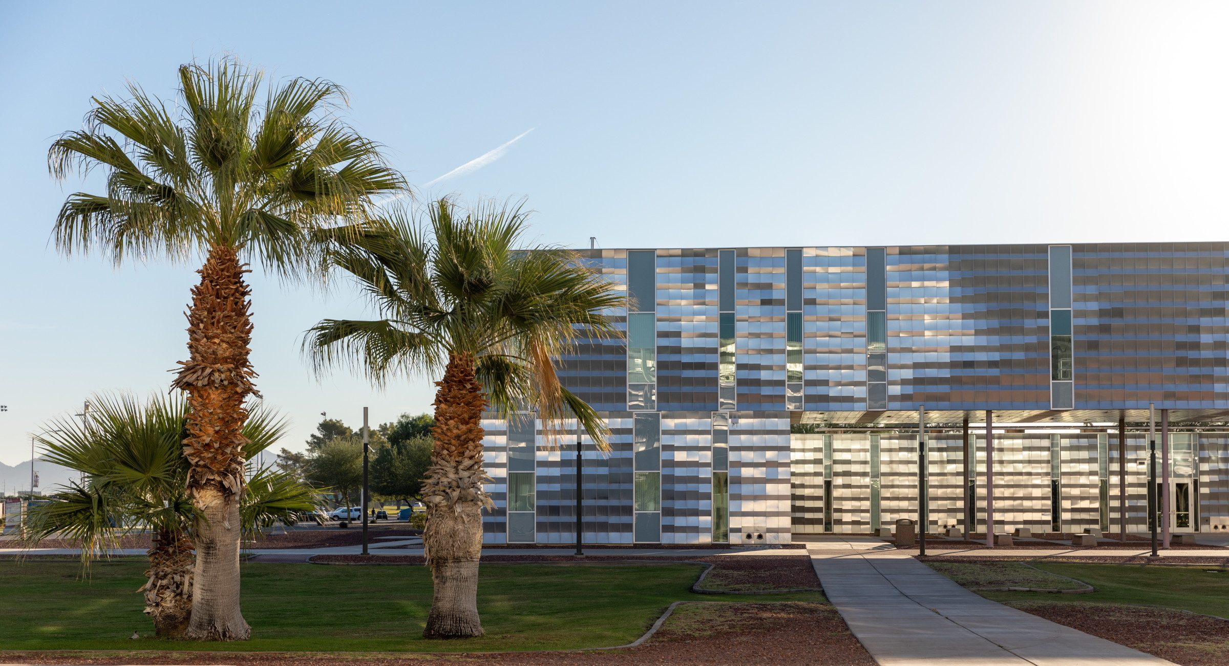 N A U–Yuma building with a line of small palm trees along the path to the front.