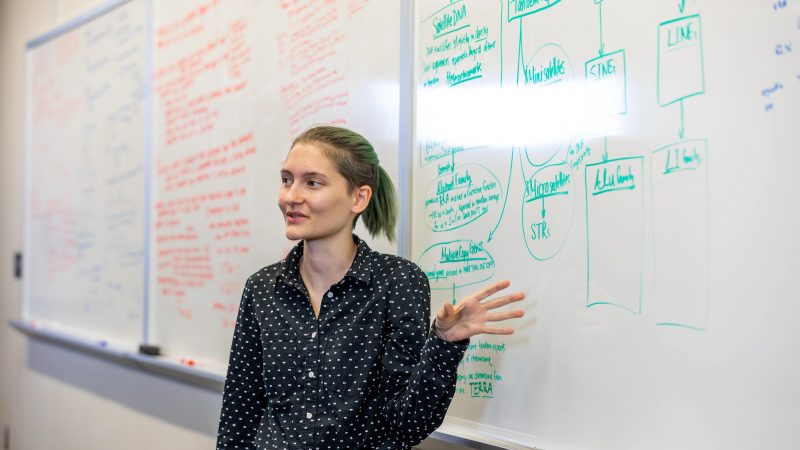 N A U&ndash;Yuma student explaining an answer at the whiteboard during a genetics lecture.
