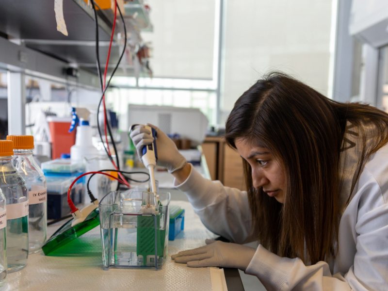 N A U student Archana Varadaraj.