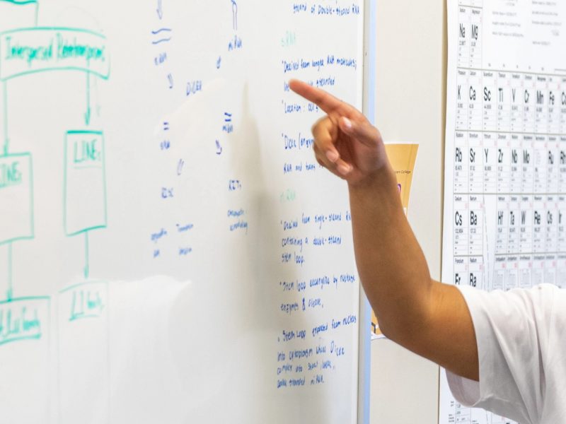 Student explains answer in a genetics class.