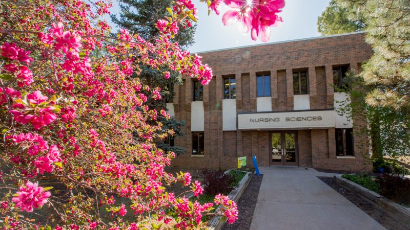 Shot of the Nursing building next to a tree with pink bright flowers.