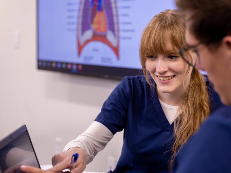N A U nursing students work together in class.