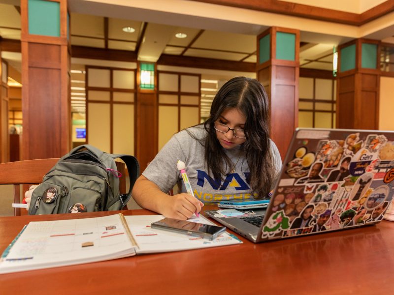 Student studying in Cline library.