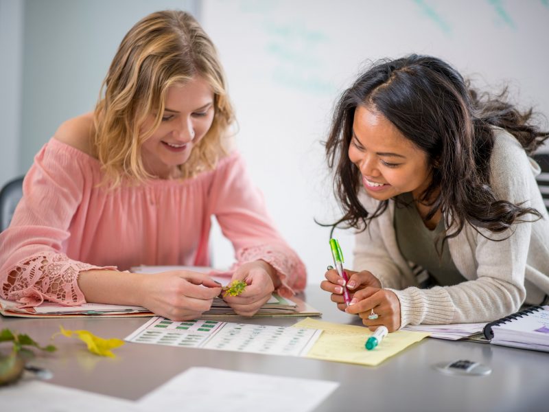 A photo of two students working on a project.