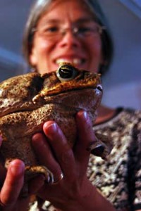 Professor Kiisa Nishikawa with toad