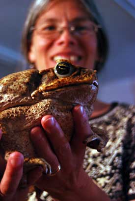 Professor Kiisa Nishikawa with toad