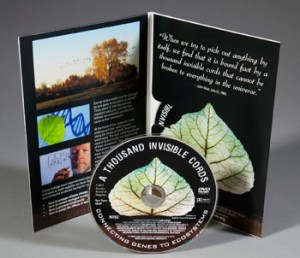 dvd cover