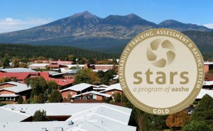 Stars logo