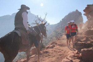 Gold Coast Suns hiking Grand Canyon