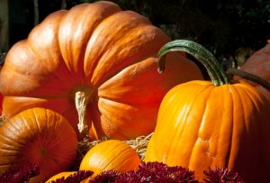 Pumpkins