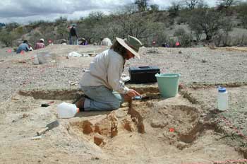 Mexican volunteer