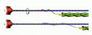 Winding Diagram