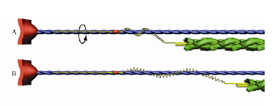 Winding Diagram