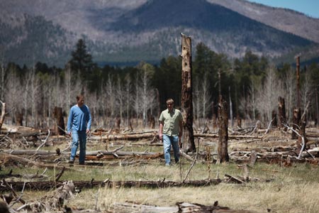 Massive fires stay destructive after the burn has gone