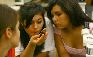 Students in the College of Engineering, Forestry and Natural Sciences