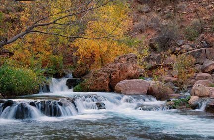 Fossil Creek