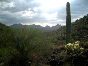Desert