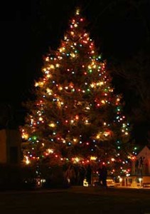 holiday tree