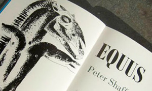 Equus