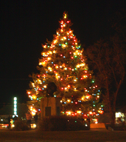Holiday tree