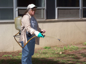 weed killing