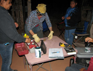 Kaibab