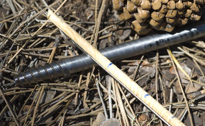 forestry research