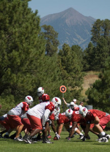 Cardinals in a huddle