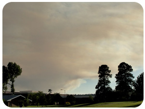 Taylor fire