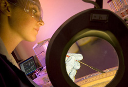 Female Scientists