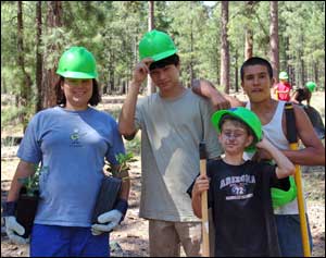 Forestry camp