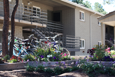 South Village Apartments