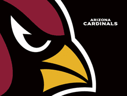 Cardinals camp
