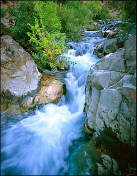 River picture