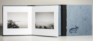 Book as Art