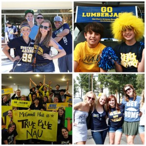 True Blue collage
