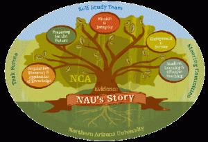 NAu story