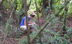 Mariana Garrett in the field