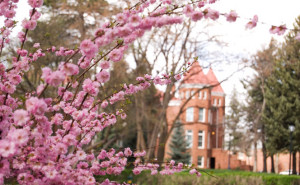 Old Main