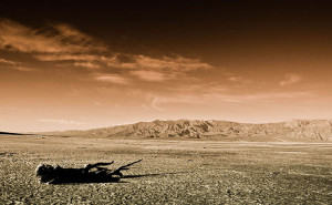 Mojave desert