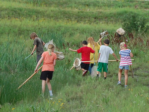 Children participate in summer bug camp 2013.