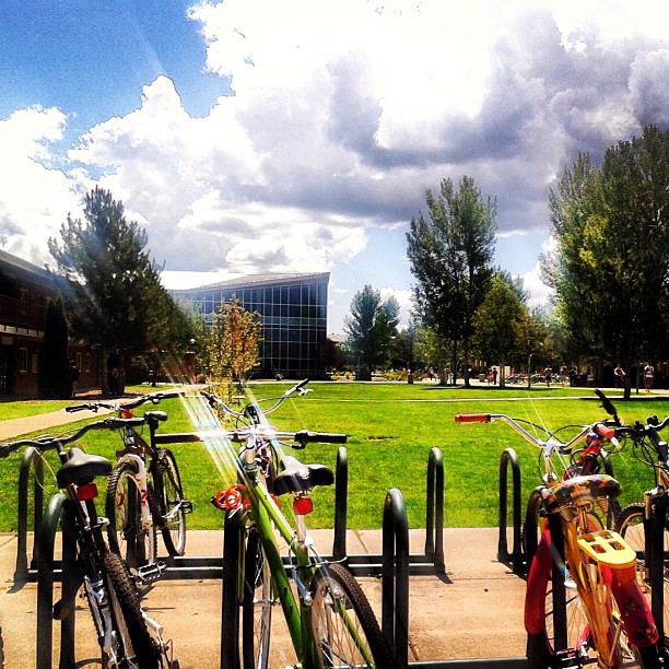 NAU bike rack in the summer