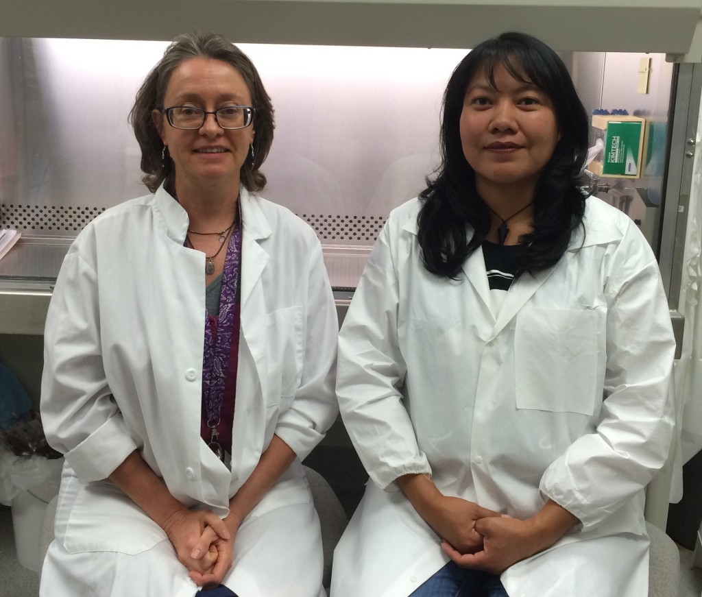 The pair in the lab