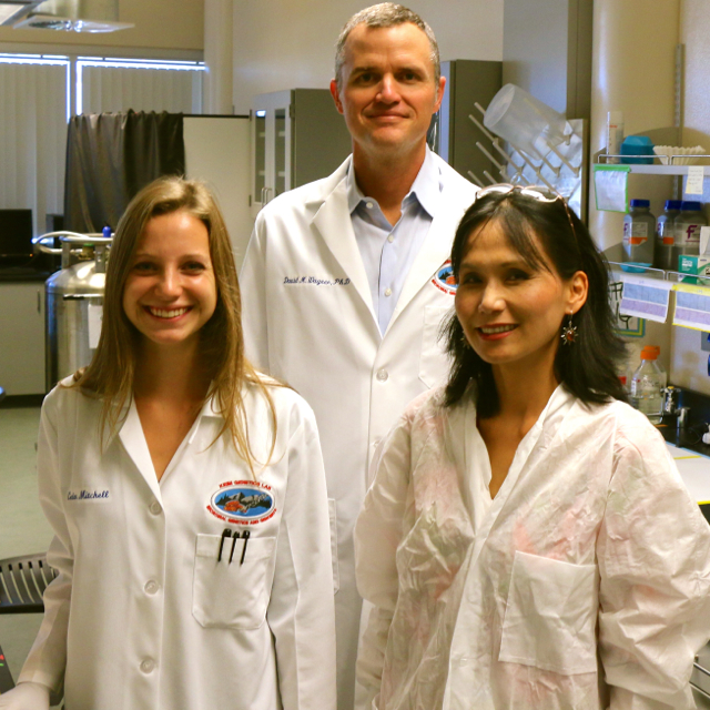 The three in the lab