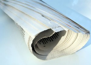 Rolled up newspaper