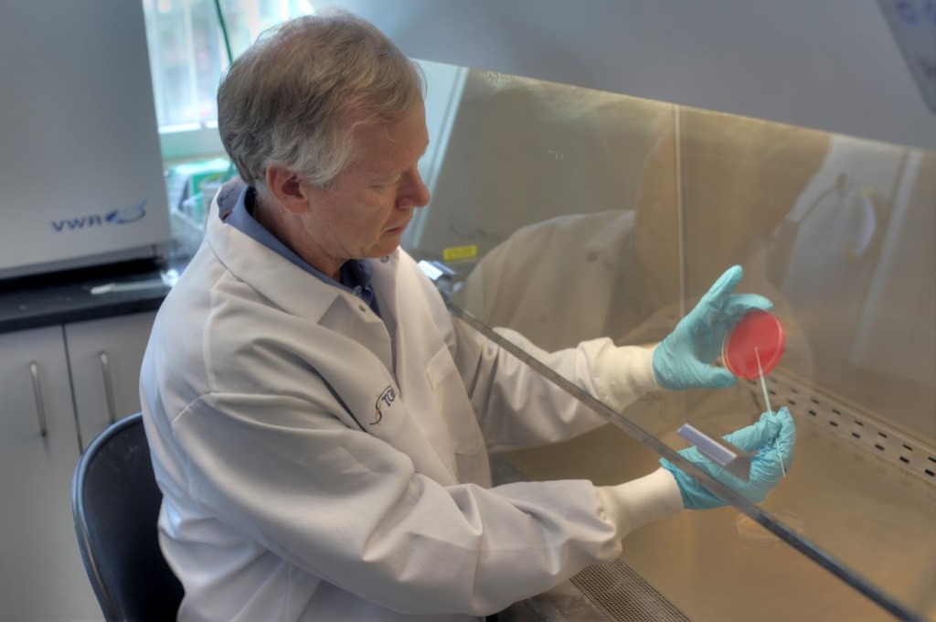 Keim in the lab studies petri dish under glass