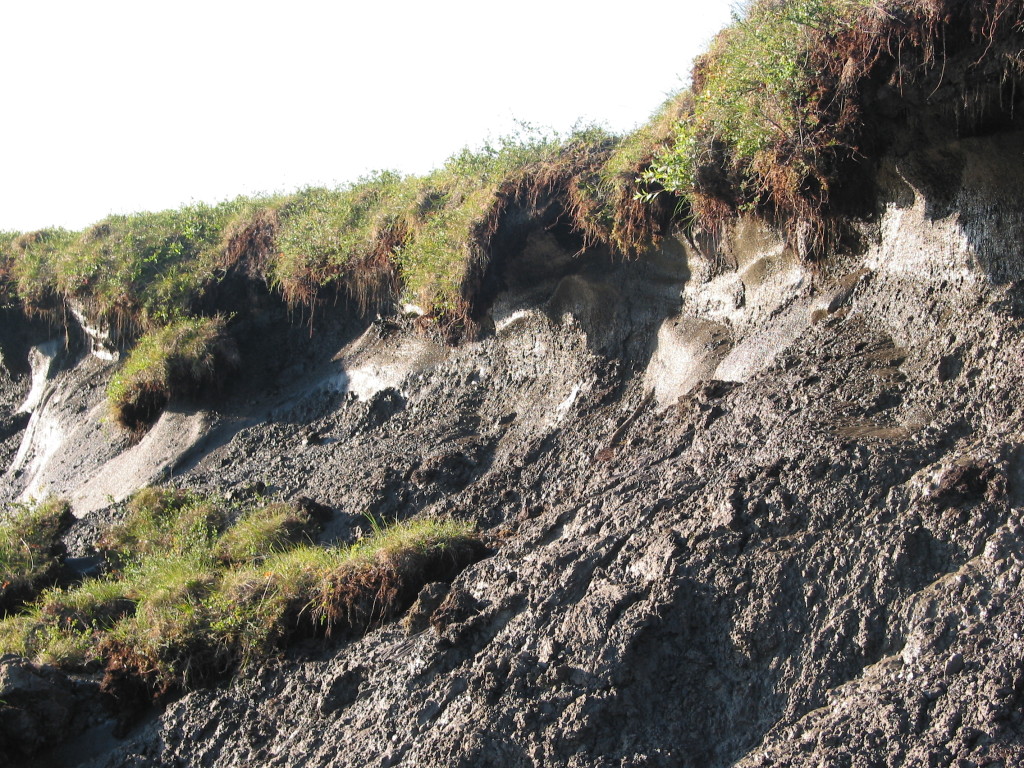 Permafrost in Alaska