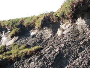 Permafrost in Alaska